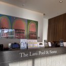 라니휘트니스 | [강원 강릉] 라카이 샌드파인 리조트 실내 온수 수영장 더 라니풀 키즈풀 야외스파