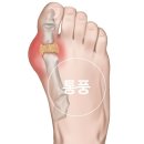 사람휘트니스 올레시장점 이미지