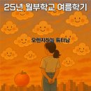 슬기로운 부동산투자 | 슬기로운 투자 생활 2탄 #잃지않는투자 [새콤승자]