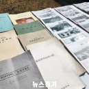 용인양돈 이미지