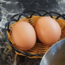 금일육당송정맛집점 | 금일육당 송정맛집점 울산송정돼지고기