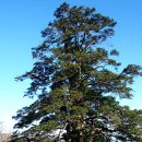 휴양림산장 이미지