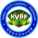 남양주진접리틀야구단