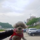 테오종합동물병원 이미지