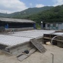 주상면사무소 이미지