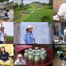 데일리목장 이미지