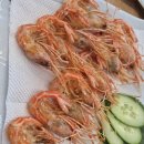 4173 | 두정동 해산물의신 후기: 신선한 국내산 자연산 해산물과 최고의 가성비