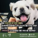 윤스피부미용