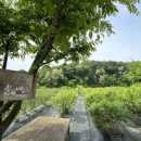 풍성한 은혜농장 이미지