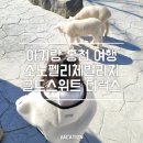삼성목장 | 아기랑 홍천 여행｜소노펠리체 빌리지 골드스위트 3룸·앤트월드·하양목장