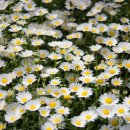 진평파출소 이미지