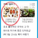 산채골 이미지