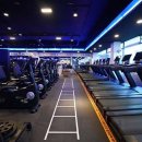 휘트니스 와이 이미지