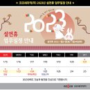 설세라믹 이미지
