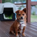 종영농장 이미지