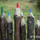 몽당연필 이미지