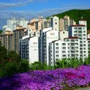 늘사랑 이미지