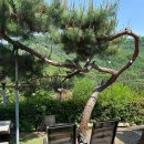 다산식자재마트(수동점) 네이버블로그