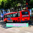 냉천음식지구 이미지