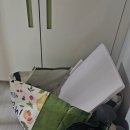 대저캠핑장 | 부산 대저캠핑장 후기(5월)
