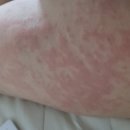 파파쿡스김밥 이미지