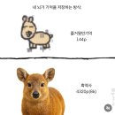 멍청하개 | 25년 4월 일상 : 노숙과 음주의 계절