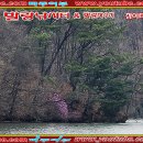 발랑낚시터 이미지