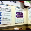 덕진-66 이미지