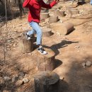 소꿉놀이작은도서관 이미지