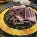시흥버스터미널 | 시흥 정왕동 무한리필 맛집 추천｜신마포갈매기 정왕로데오점 후기