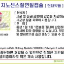 지노포트 이미지