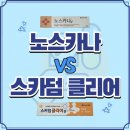 나정약국 네이버블로그