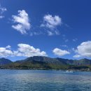 담수농장 | 바 천국의 바다 스노쿨링 바다거북이 바다 위 햄버거｜파인애플 농장 돌 플랜테이션 (Dole Plantation) 🍍