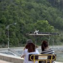 바다와자전거 이미지