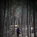 갈모봉산림욕장 이미지