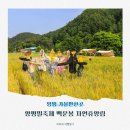 양평 가볼만한곳 양평밀축제 기본정보 주차 백운봉 자연휴양림