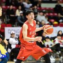 삼성인삼 이미지