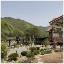 스테이브릴 이미지