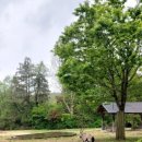 늘보배농장 | 서울대공원, 푸짐한 김치감자탕 방문 후기(레서판다~)