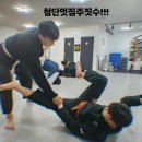 대한무술체육관제1관 | 광주 첨단 멋짐 주짓수 일반부: 중고등학생, 성인 누구나 쉽고 재밌게! (대한주짓수회 공인)
