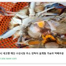 삼미시장6 이미지