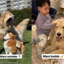 천사캣 이미지
