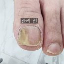 레푸스 부산대연점