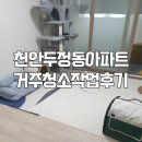 부경파크빌아파트 | 천안 두정동 거주청소 I 천안맵 에코클리닝 부경파크빌 아파트 화장실 곰팡이 • 베란다 오염 청소 후기