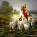 ♣ 진정한 사랑은 완전함이 아니라 ♣ 이미지