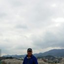 최기조