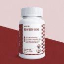 위드바이오 쇼핑하우