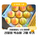 복농장 | 조치원 복숭아 직거래 농장 추천 '봉구농원' | 선물용 복숭아 백도 천하제일도 황도 대태양 구매 후기