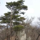 2016.03.08 (화) 강화 마니산 &amp; 초피산... 이미지