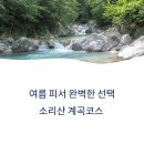 소리산 계곡코스 완전정복, 여름 피서 산행지로 딱 좋은 이유